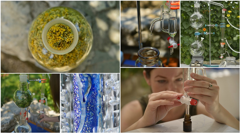 Spletni tečaj: Destilacija in hidrolati